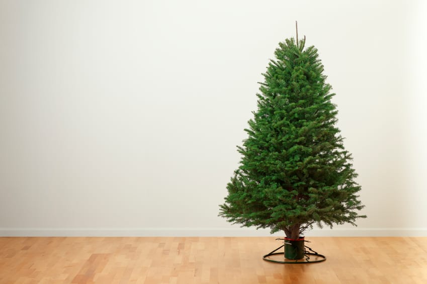 Weihnachtsbaum klassisch
