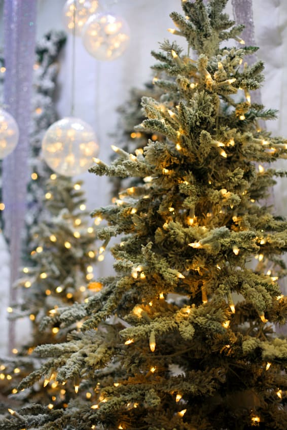 tradition weihnachtsbaum weihnachtskarten druck com tradition weihnachtsbaum weihnachtskarten druck com